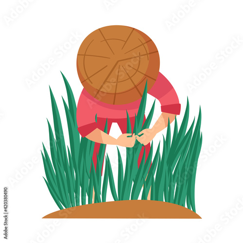Vietnamese Man Farmer in Straw Conical Hat Setting Rice Crop in Watery Ground Vector Illustration