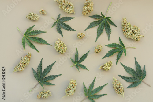 Fototapeta Cannabis pattern on grey background