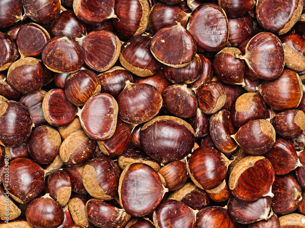 Obraz premium solid fresh ripe chestnuts, top view, background
