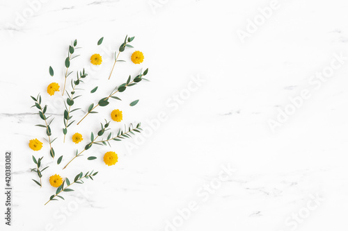 Flowers composition. Yellow flowers and eucalyptus leaves on marble background. Flat lay  top view