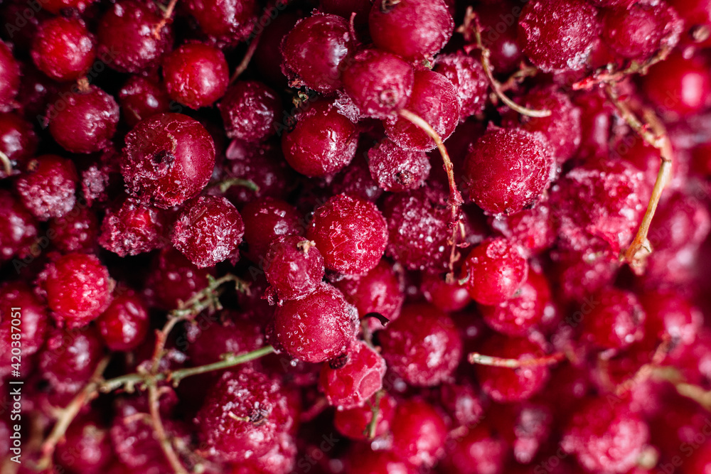 Frozen raspberries close-up. Macro Frozen raspberries close-up. Macro