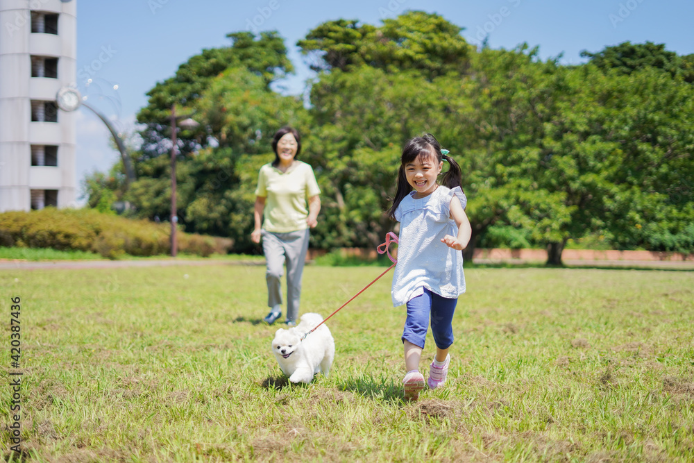 おばあちゃんと犬の散歩をする小さな女の子 おばあちゃんと犬の散歩をする小さな女の子