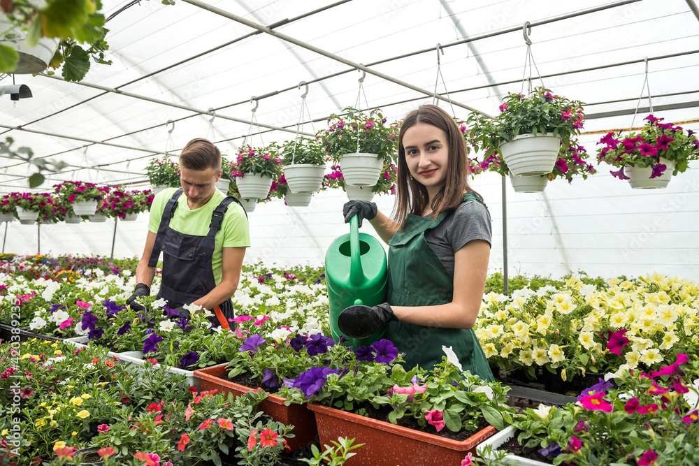Two workers who are working together in flowers center