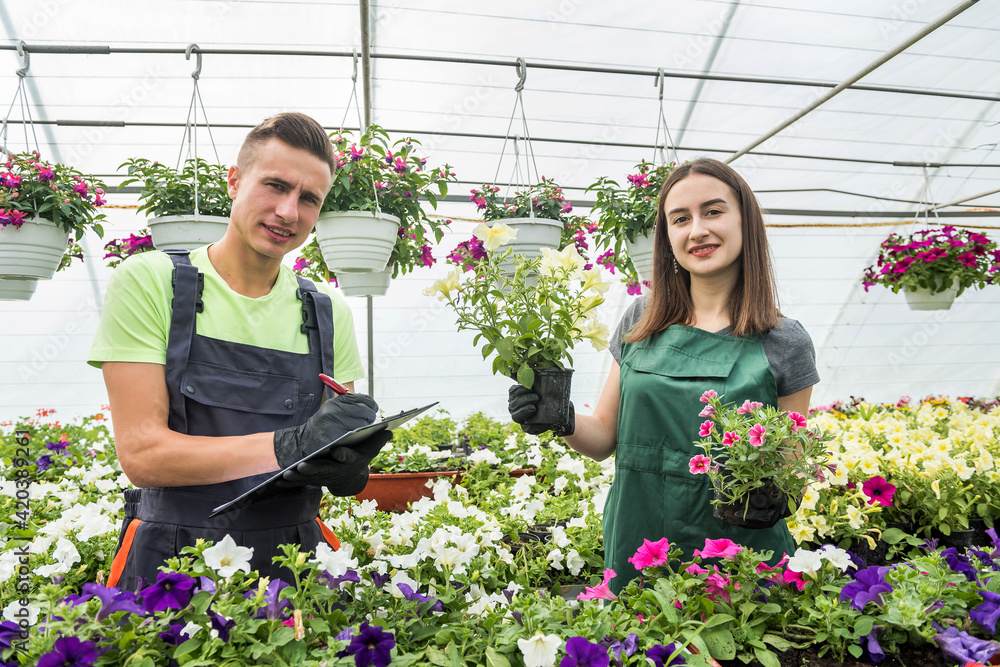 Young happy couple working with flowers at industrial greenhouse.