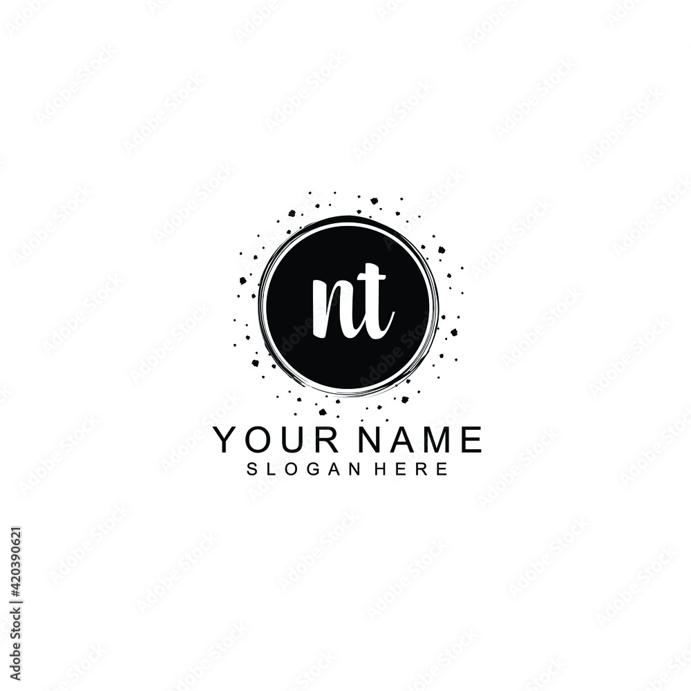 NT beautiful Initial handwriting logo template NT beautiful Initial handwriting logo template