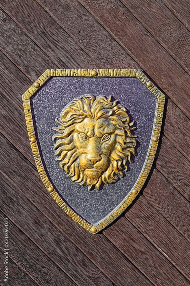 Metal frame with lion image on wooden fence background