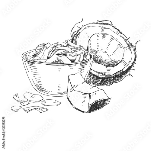 Coconut chips bowl and cracked coconut, retro hand drawn vector illustration.