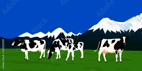 cows in mountains background