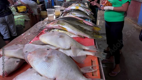 Fresh fish on seafood stalls at the Campeche central market. San Francisco de Campeche, Mexico photo