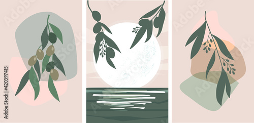 Set of abstract boho minimalistic contemporary still lifes, landscape. Branches and flowers of olive plants. Summer, sun in Greece, oil. Vector graphics.