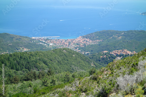 Aerial view of Marciana photo