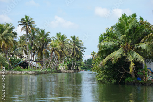 Backwaters network of brackish lagoons in Kerala photo