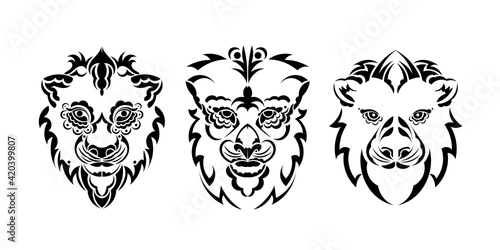 Lion Logo Set. Premium Design Collection. Vector Illustration