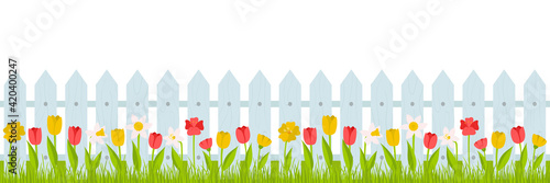 Seamless horizontal border. Lawn grass with red, yellow tulips and daffodils and a fence. Summer, spring illustration in cartoon style. Vector in a flat style on a white background.