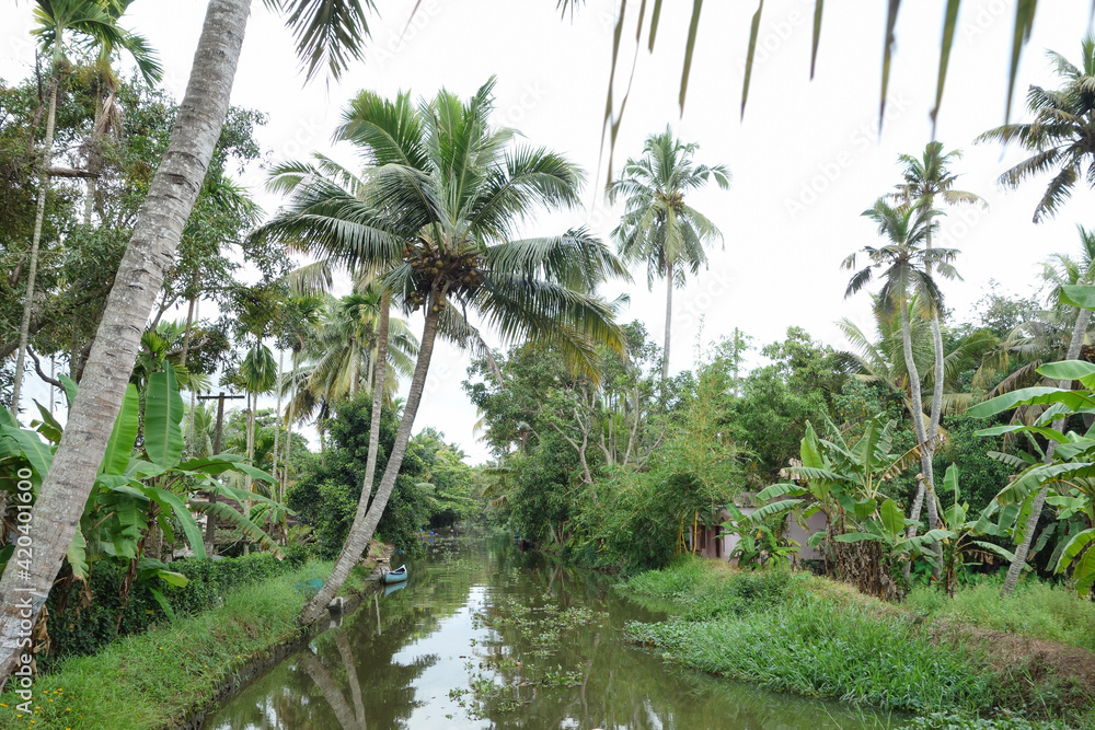 Backwaters network of brackish lagoons in Kerala