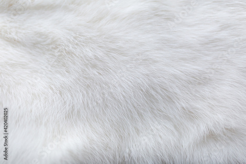 White fur background texture. Fluffy rabbit fur photo