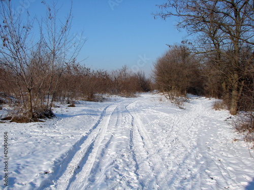 Panorama of a winter road on a compacted snow carpet, stretching upwards into the infinity of sky blue.
