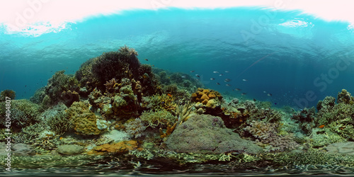 Colourful tropical coral reef. Scene reef. Marine life sea world. Philippines. 360 panorama VR