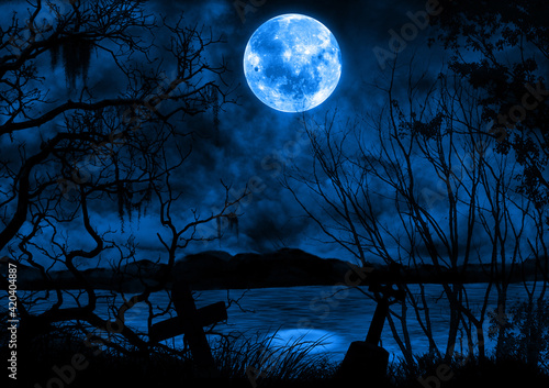 暗い森の夜と青い満月の風景イラスト