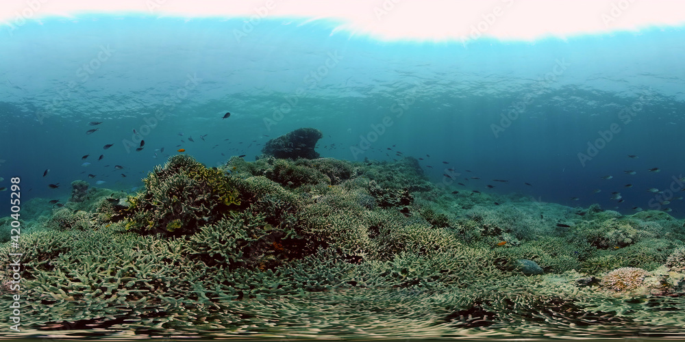 Underwater fish garden reef. Reef coral scene. Coral garden seascape. Philippines. 360 panorama VR