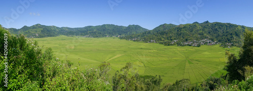 Panoramic view of the spectacular spider web rice fields in Lodok Cara village near Ruteng on Flores island, East Nusa Tenggara, Indonesia photo