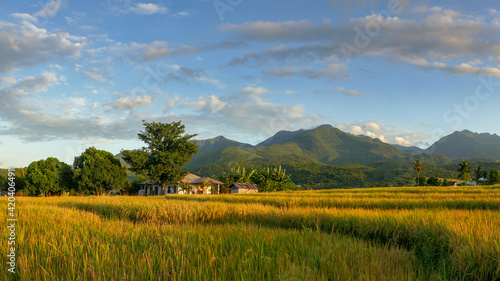 Sunrise landscape view on rice fields and mountain in Dintor village, Manggarai Regency, Flores island, East Nusa Tenggara, Indonesia photo