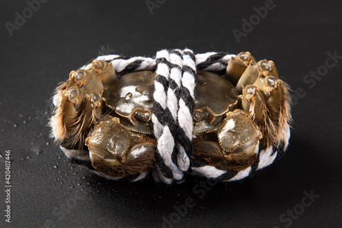 Canvas Print Raw Chinese mitten crab, shanghai hairy crab isolated on black background