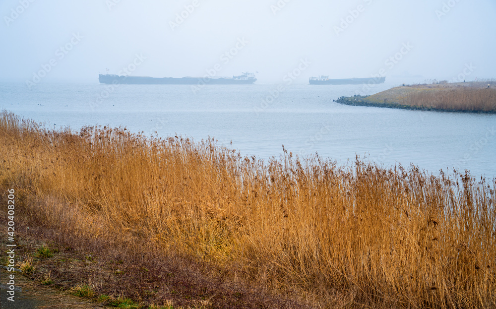 Foggy landscape in Ketelhaven, Netherlands
