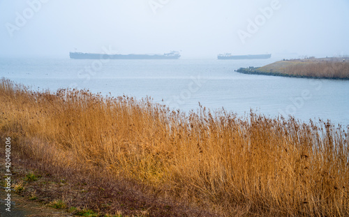 Foggy landscape in Ketelhaven  Netherlands 