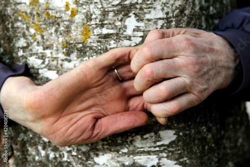 the woman's hands encircle the tree trunk. hands with fingers together. Human hands against a wooden bark background  © Art Johnson