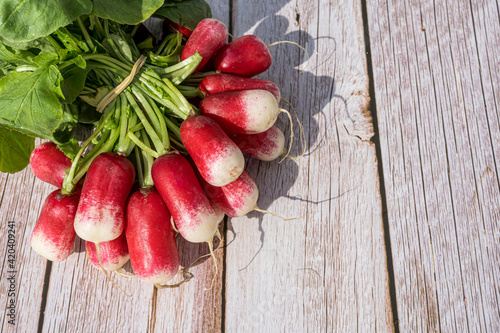 Bunch of fresh radishes, on a wooden background with copy space. Freshly harvested.