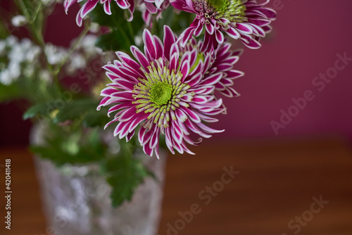 Variegated chrysanthemums.Variegated bush chrysanthemums with a green-yellow core in a crystal vase stand on a table. Russia, Moscow, holiday, gift, mood, nature, flower, plant, bouquet, macro