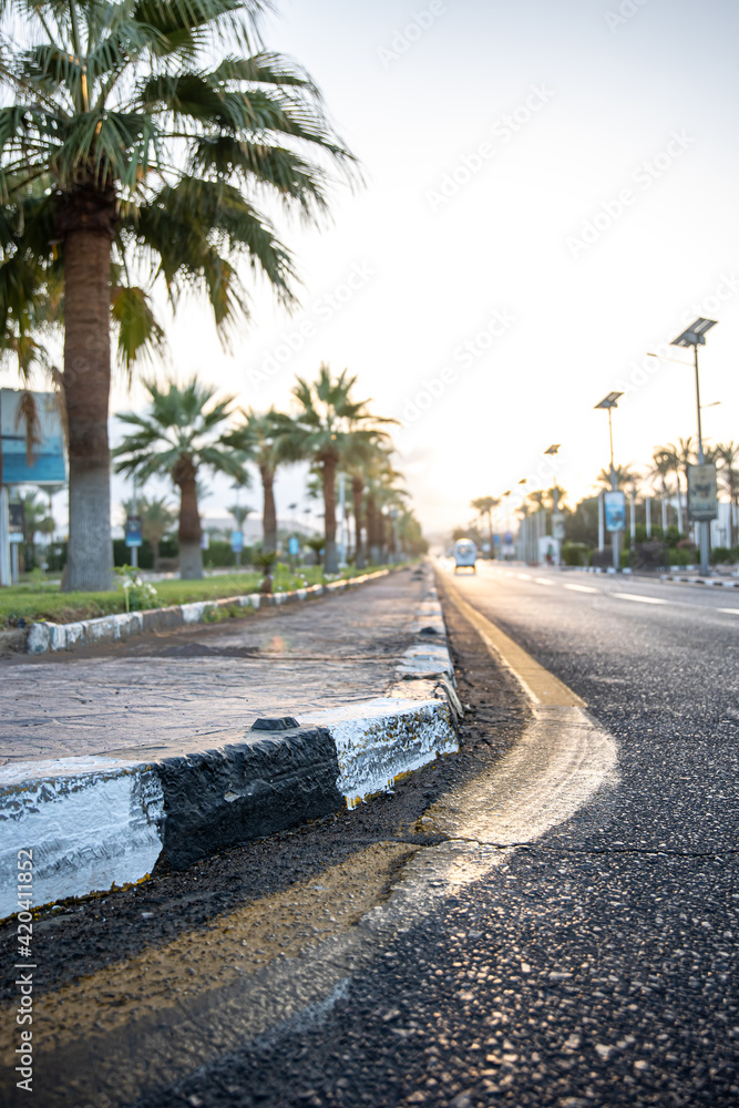 City asphalt road with palm trees along the road at sunset.