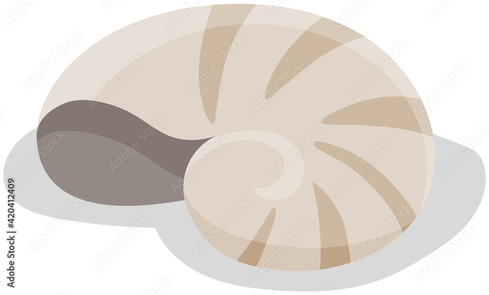 Shell isolated on white background. Chitin structure protecting snail vector illustration Shell isolated on white background. Chitin structure protecting snail vector illustration