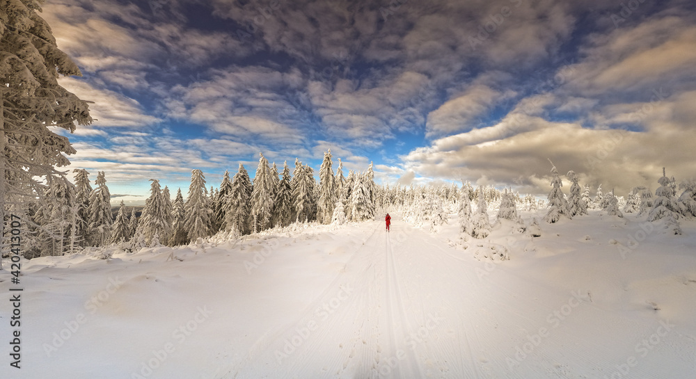 Einsame Spur im Winter  Panorama Winterlandschaft am Rennsteig in Thüringen Thüringer Wald