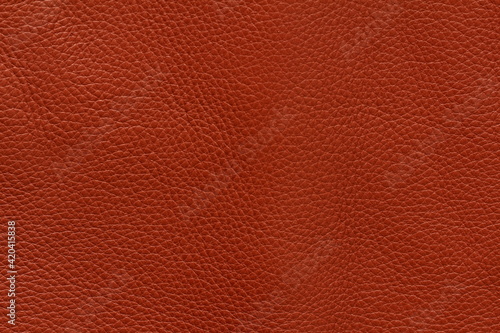 leather texture background © pavelpuzzle