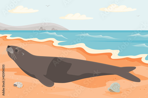 Representative of oceanic wildlife liying on coastline. Cute seal on sandy beach near ocean