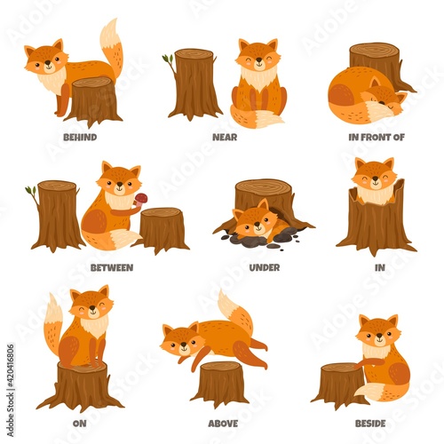 English prepositions. Cartoon animal, learn place preposition. Cute wild fox standing behind between or above. Children education exact vector poster