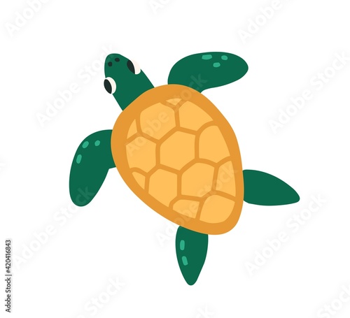 Cute green turtle with shell isolated on white background. Top view of funny tortoise. Colored flat vector illustration of happy exotic animal