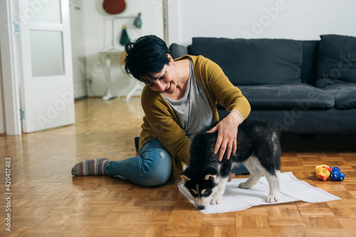 woman teaching her little husky to use diapers