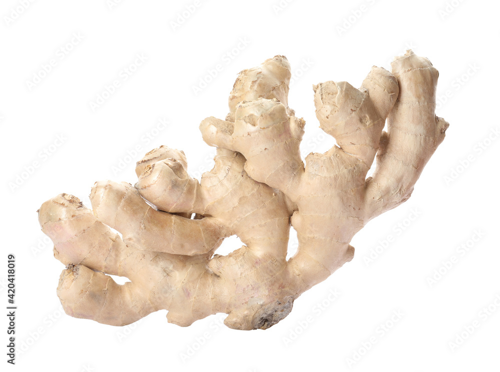 Whole fresh ginger root isolated on white Whole fresh ginger root isolated on white