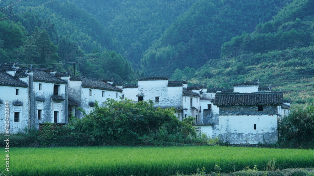 The old traditional Chinese architecture located in the countryside of southern China with the black tiles roof and white wall