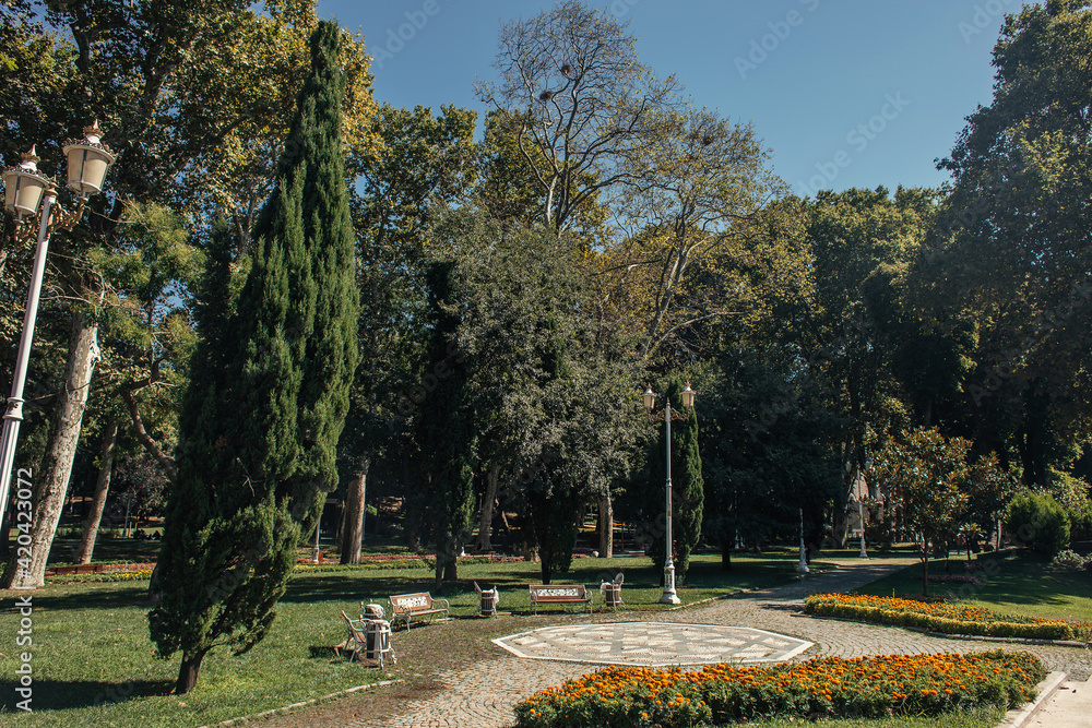 Flowers on flower bed near trees and benches in park