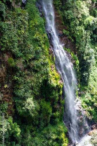 Waterfall at Binna Burra  Queensland in the green rainforest.