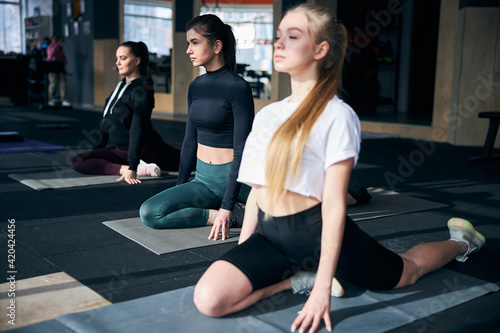 Group of focused young ladies practising yoga poses
