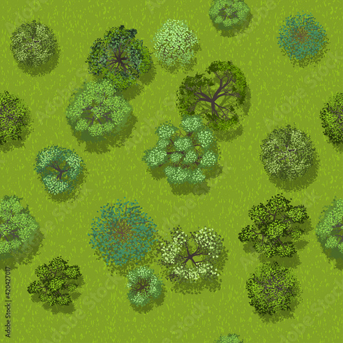 Seamless pattern. Forest top view. Park view from above. 