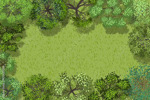 Vector illustration. Forest top view. Space for text.