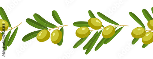 Seamless horizontal composition of branches with green olives, template element for packaging design. Vector illustration flat isolated icon border set on white background.