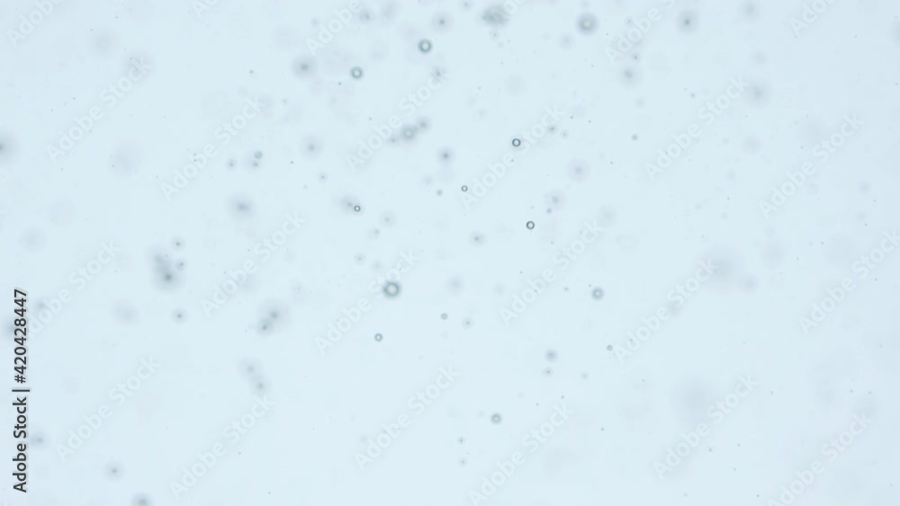 Amazing abstract drops olive oil in the water. Wallpaper, resource.