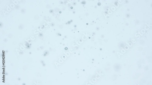 Amazing abstract drops olive oil in the water. Wallpaper, resource.